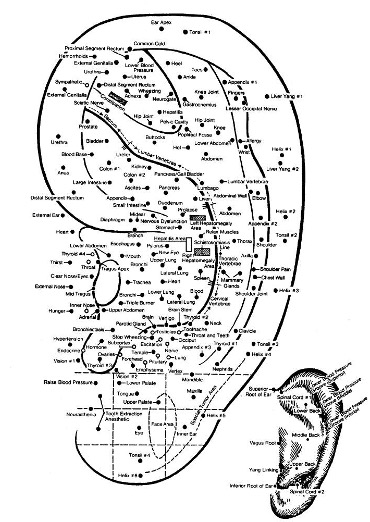 Acupuncture - Life Refined Chiropractic - Live Your Best Life